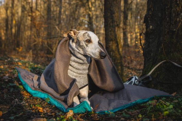 Wild Woof Dyna Bäddar Wonder Collars