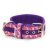 El Perro Camo Strips 50 mm Halsband Wonder Collars