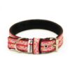 El Perro Comix Halsband 30 mm Halsband Wonder Collars