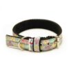 El Perro Comix Halsband 30 mm Halsband Wonder Collars