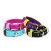 El Perro Inside Halsband 40 mm Fast halsband Wonder Collars