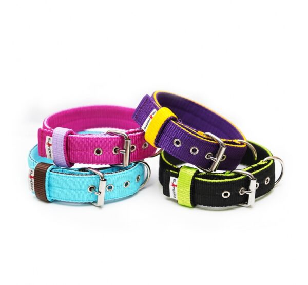 El Perro Inside Halsband 40 mm Fast halsband Wonder Collars