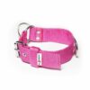 El Perro Combi Halvstryp 40 mm Halsband Wonder Collars