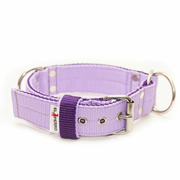 El Perro Combi Halvstryp 40 mm Halsband Wonder Collars