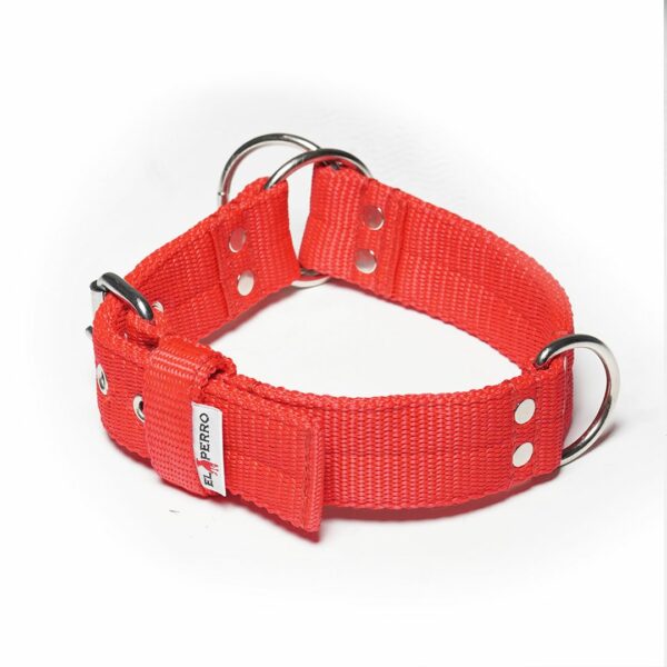 El Perro Combi Halvstryp 40 mm Halsband Wonder Collars