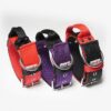 El Perro Safe Grip Halsband 50 mm Halsband Wonder Collars