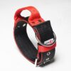 El Perro Safe Grip Halsband 50 mm Halsband Wonder Collars