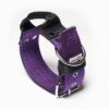 El Perro Safe Grip Halsband 50 mm Halsband Wonder Collars