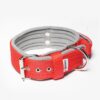 El Perro Fleece Comfort Safe Grip Halsband 50 mm Halsband Wonder Collars