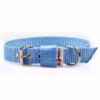 El Perro Juicy Halsband 25 mm Halsband Wonder Collars