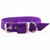 El Perro Juicy Halsband 25 mm Halsband Wonder Collars