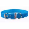 El Perro Juicy Halsband 25 mm Halsband Wonder Collars