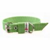 El Perro Juicy Halsband 25 mm Halsband Wonder Collars