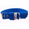 El Perro Juicy Halsband 25 mm Halsband Wonder Collars