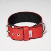 El Perro Juicy Double Halsband 40 mm Halsband Wonder Collars