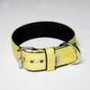 El Perro Juicy Double Halsband 40 mm Halsband Wonder Collars