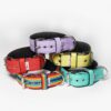 El Perro Juicy Double Halsband 40 mm Halsband Wonder Collars