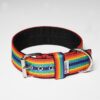 El Perro Juicy Double Halsband 40 mm Halsband Wonder Collars