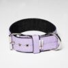 El Perro Juicy Double Halsband 40 mm Halsband Wonder Collars