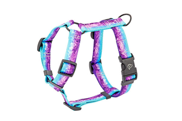 Warsaw Dog Sport Y-sele 50 mm Selar Wonder Collars