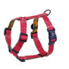 Warsaw Dog Sport Y-sele 50 mm Selar Wonder Collars