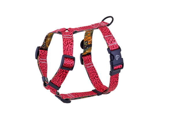 Warsaw Dog Sport Y-sele 50 mm Selar Wonder Collars