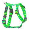 Warsaw Dog Sport Y-sele 50 mm Selar Wonder Collars