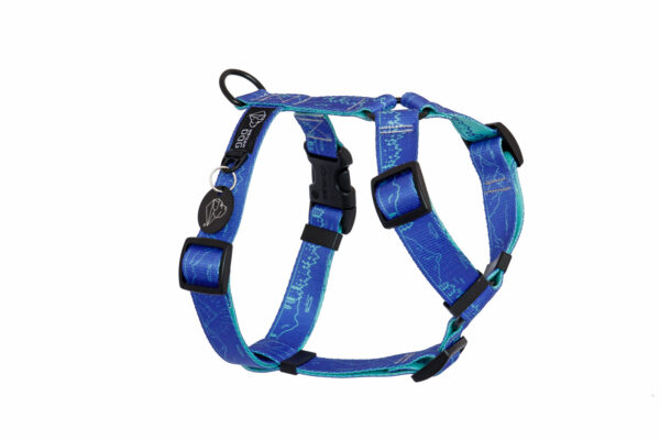 Warsaw Dog Sport Y-sele 50 mm Selar Wonder Collars