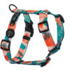 Warsaw Dog Sport Y-sele 50 mm Selar Wonder Collars