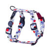 Warsaw Dog Sport Y-sele 50 mm Selar Wonder Collars