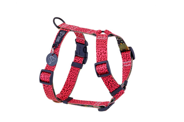 Warsaw Dog Sport Y-sele 50 mm Selar Wonder Collars