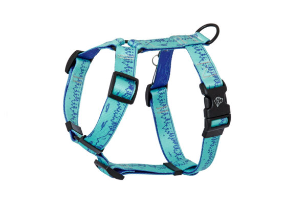 Warsaw Dog Sport Y-sele 50 mm Selar Wonder Collars