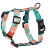 Warsaw Dog Sport Y-sele 50 mm Selar Wonder Collars