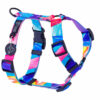 Warsaw Dog Sport Y-sele 50 mm Selar Wonder Collars