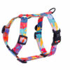 Warsaw Dog Sport Y-sele 50 mm Selar Wonder Collars