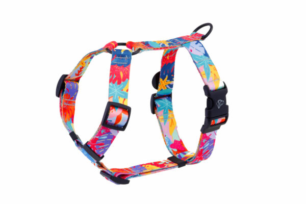 Warsaw Dog Sport Y-sele 50 mm Selar Wonder Collars