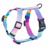 Warsaw Dog Sport Y-sele 50 mm Selar Wonder Collars