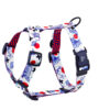 Warsaw Dog Sport Y-sele 50 mm Selar Wonder Collars