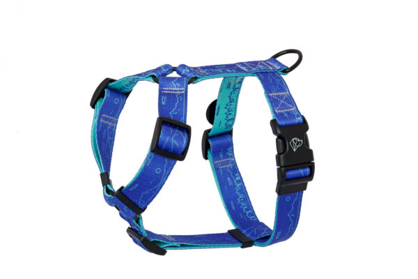 Warsaw Dog Sport Y-sele 50 mm Selar Wonder Collars