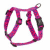 Warsaw Dog Sport Y-sele 50 mm Selar Wonder Collars