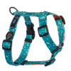 Warsaw Dog Sport Y-sele 50 mm Selar Wonder Collars