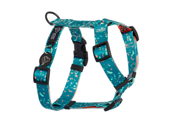 Warsaw Dog Sport Y-sele 50 mm Selar Wonder Collars