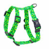 Warsaw Dog Sport Y-sele 50 mm Selar Wonder Collars