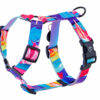 Warsaw Dog Sport Y-sele 20 mm Selar Wonder Collars