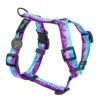 Warsaw Dog Sport Y-sele 20 mm Selar Wonder Collars