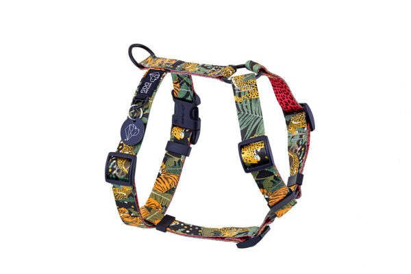 Warsaw Dog Sport Y-sele 20 mm Selar Wonder Collars