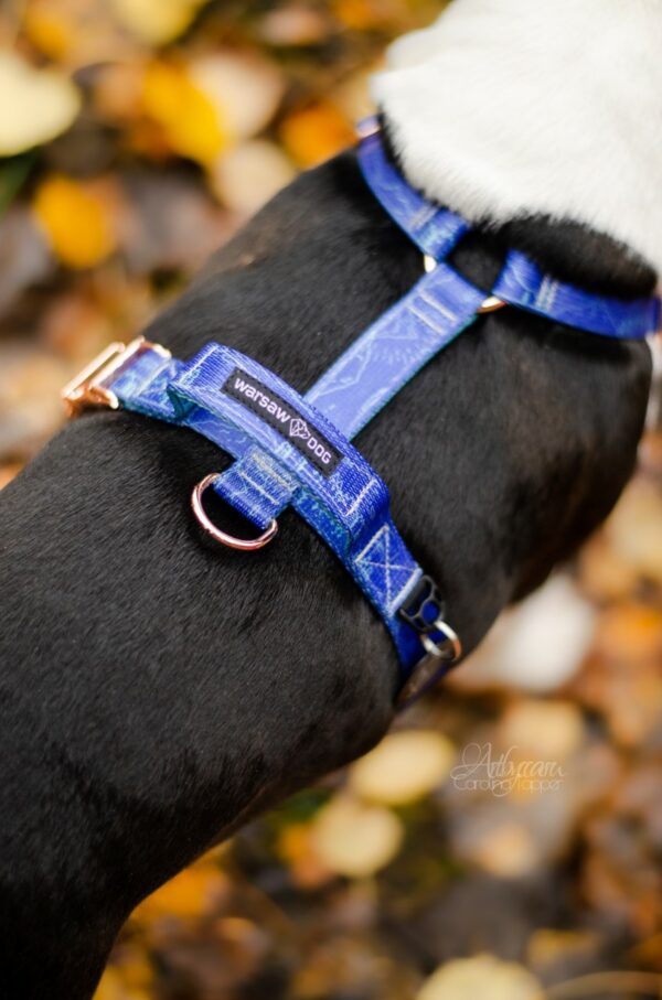 Warsaw Dog Sport Y-sele 20 mm Selar Wonder Collars