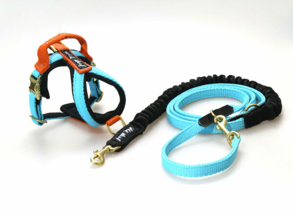 Wild Woof Run Mini Sele 15 mm Selar Wonder Collars