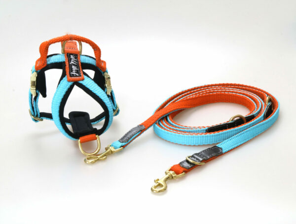 Wild Woof Run Mini Sele 15 mm Selar Wonder Collars