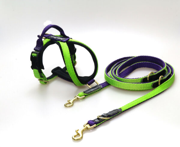 Wild Woof Run Mini Sele 15 mm Selar Wonder Collars